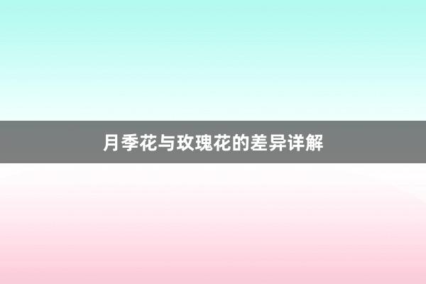 月季花与玫瑰花的差异详解
