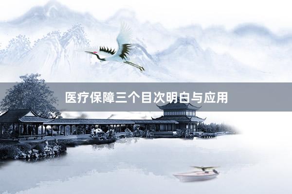 医疗保障三个目次明白与应用